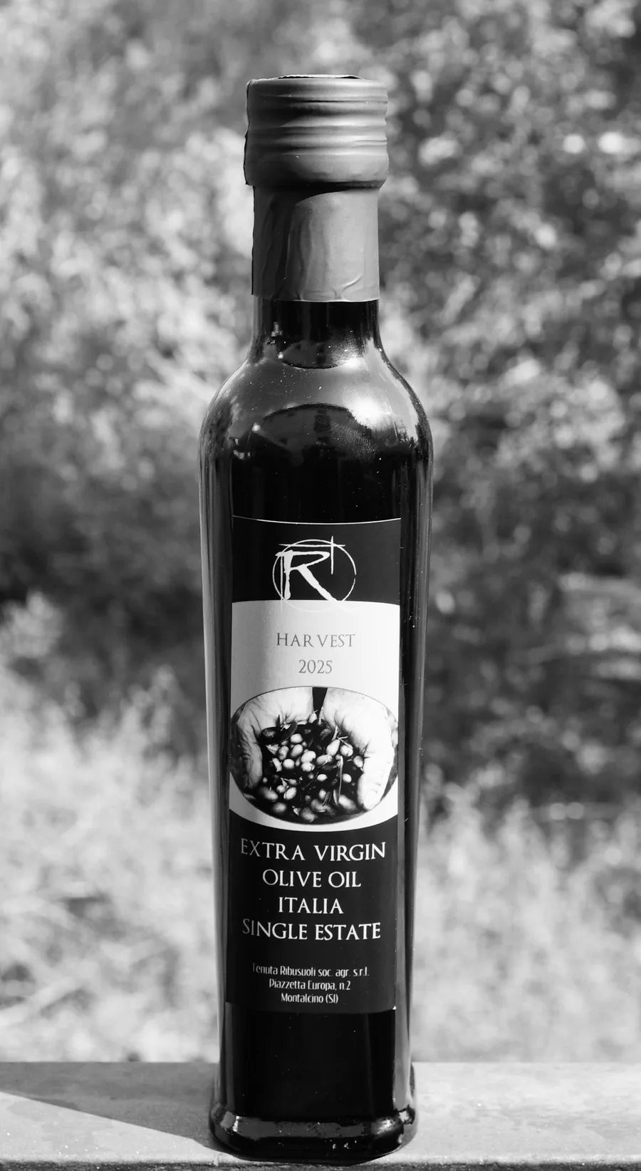 Bottiglia di olio extra vergine di oliva Tenuta Ribusuoli, raccolto 2025